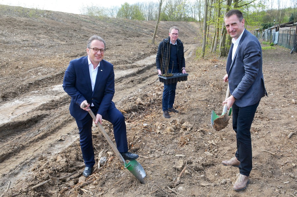 Bürgermeister Reiner Breuer und Vorstandsmitglied Lutz Bittermann beim Pflanzen der ersten Bäume