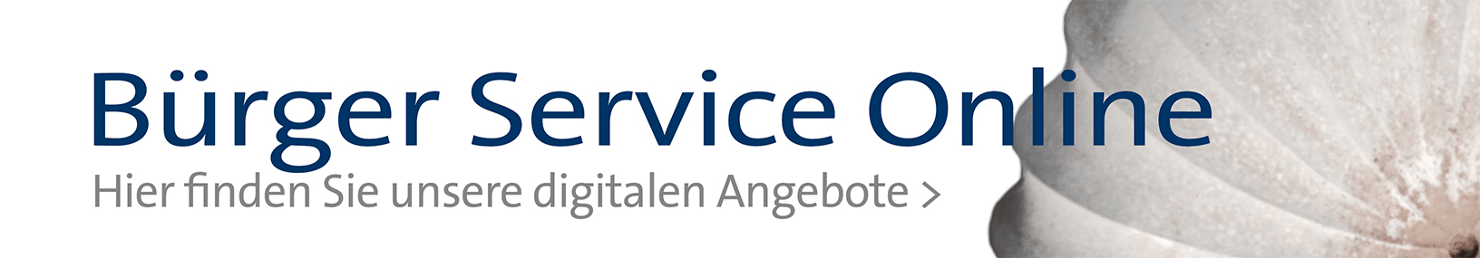 Banner: Bürger-Service Online (kleiner)