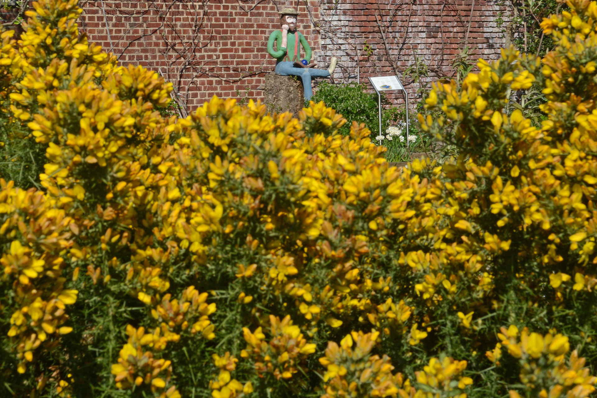 Stadt Neuss - 2020-04-08 - Erweiterung Botanischer Garten 11.jpg