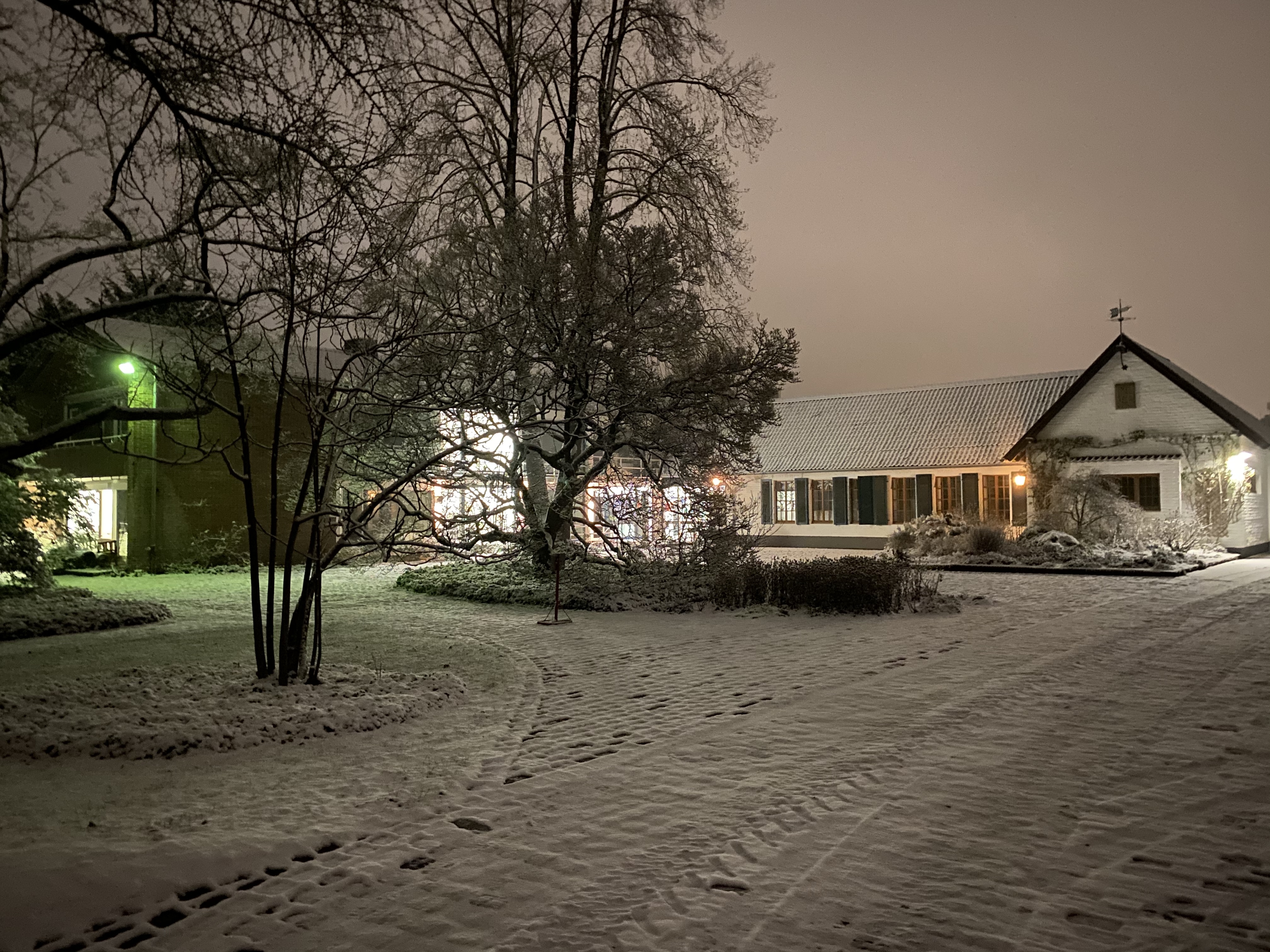 Winter im Botanischen Garten 02.jpg