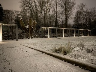 Winter im Botanischen Garten 03.jpg