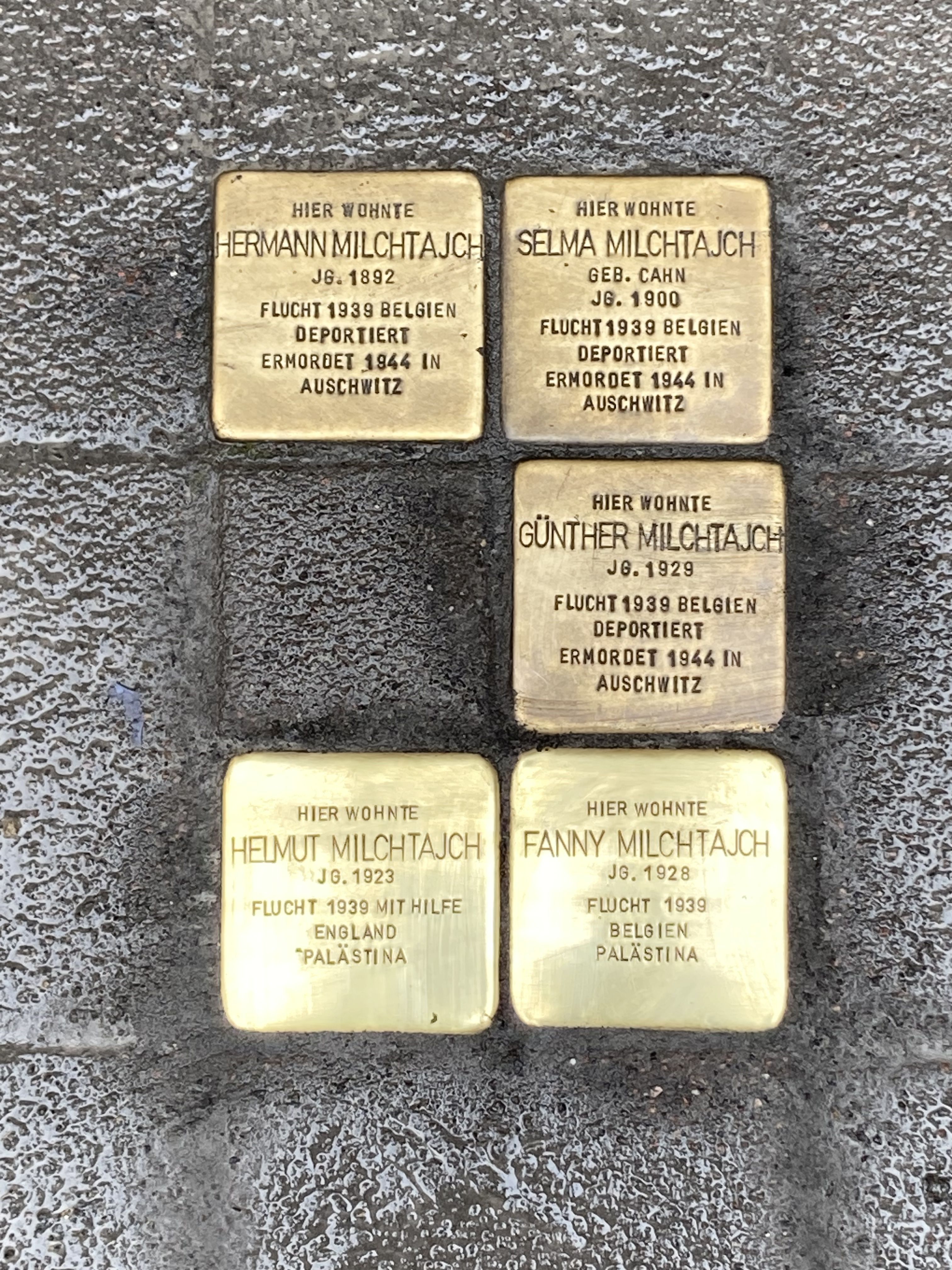 0712 Neue Stolpersteine 03.jpg