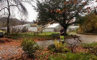 Botanischer Garten im Dezember 2021: Segway