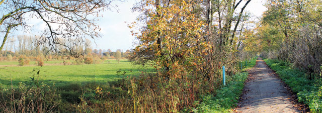 stadt-neuss_natur-radrouten_02_fluss-bachauen_32.jpg